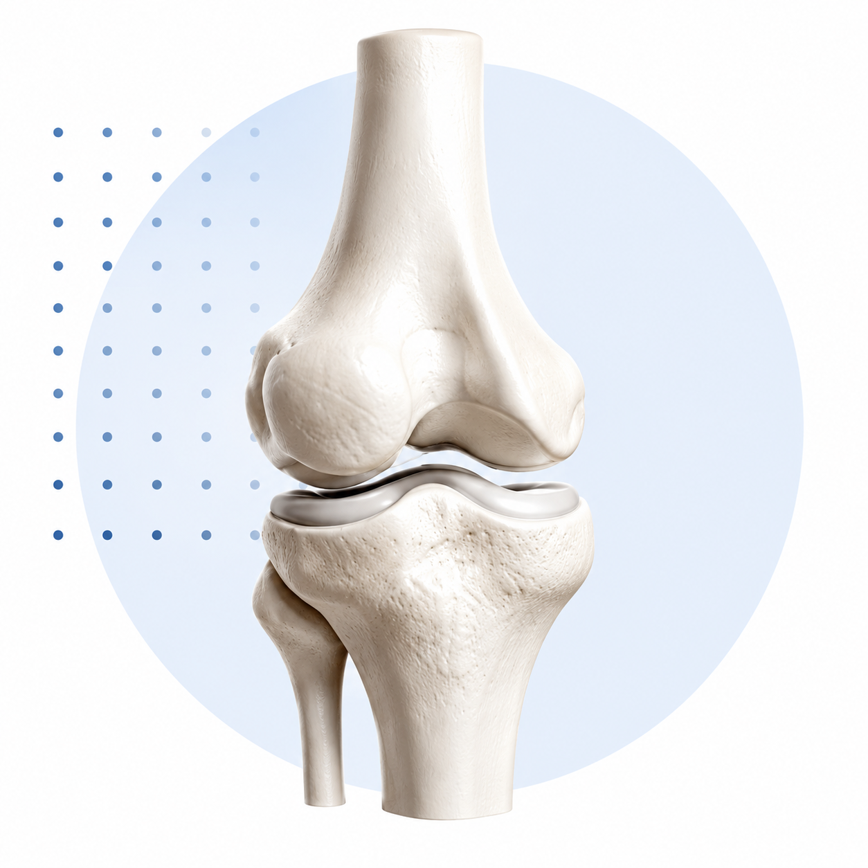 Orthopedic